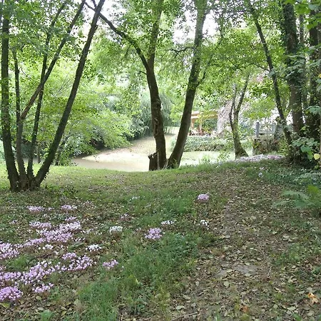 Moulin De Repassat Etape Voie Verte 4* Bazens